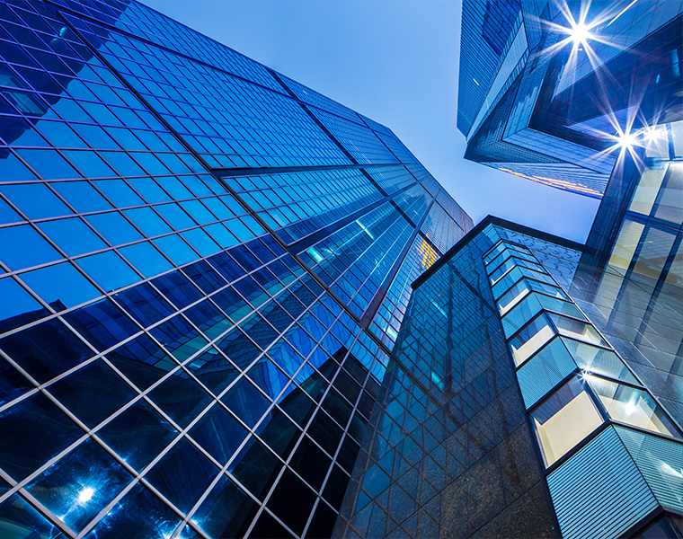 Company OVERVIEW